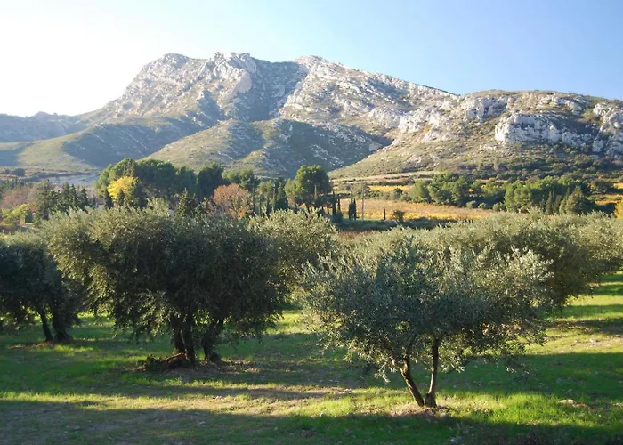 Sous Le Soleil Des Alpilles