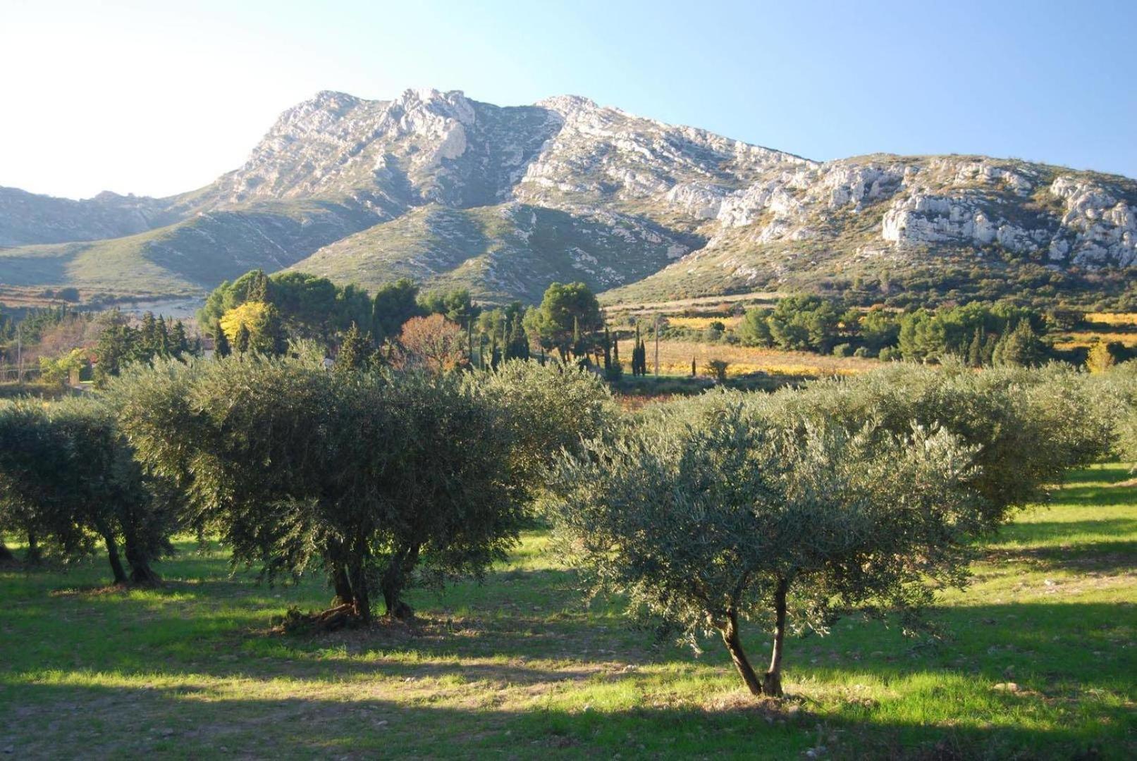 Apartment Sous Le Soleil Des Alpilles Mouries