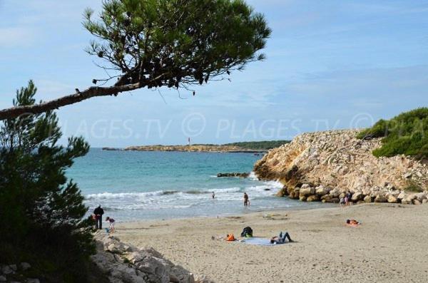 Sous Le Soleil Des Alpilles Mouries