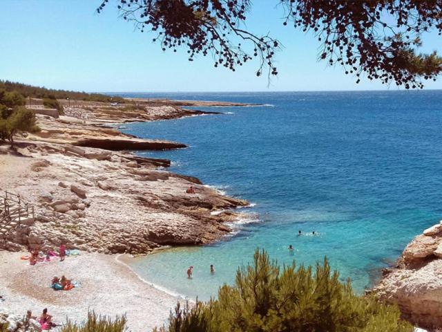 Sous Le Soleil Des Alpilles *
